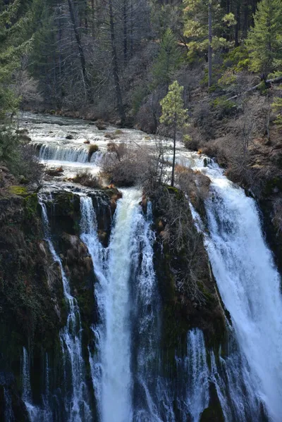 DSC_5916 (Large).JPG